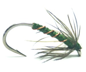 softhackles.com – Soft Hackle Wet Fly – Copper and Blae Spider