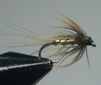 softhackles.com – Steamed Soft Hackle Wet Fly - Whickhams Fancy (before)