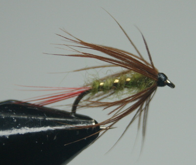 MyFlies - Steamed Hackle 26 after