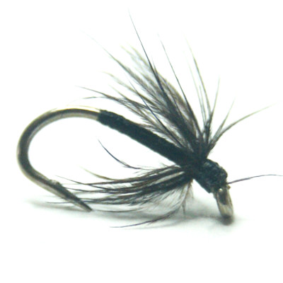 softhackles.com – Soft Hackle Wet Fly – Black Spider