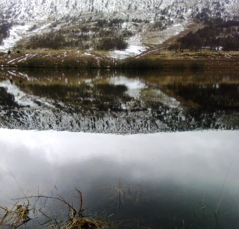 softhackles.com – Loch - April