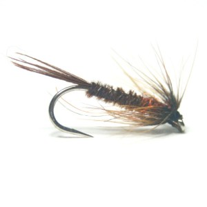 softhackles.blog - PTN - Fiery PTN