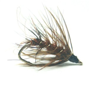 softhackles.blog - palmered hackle wet fly - Fiery Palmer