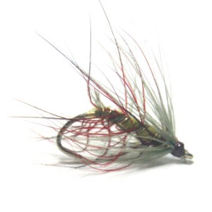 softhackles.blog - soft hackle wet fly - Red Olive Palmer