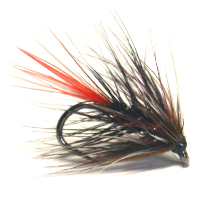 softhackles.blog - soft hackle wet fly - Storm Crow