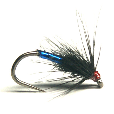 softhackles.blog - soft hackle wet fly - Blue Bottle Spider