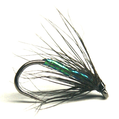 softhackles.blog - soft hackle wet fly - Green Bottle Spider