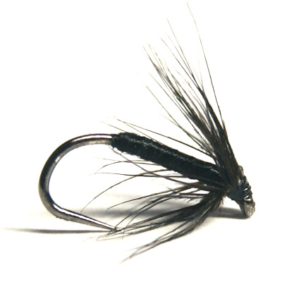 softhackles.blog - soft hackle wet fly - Black Spider